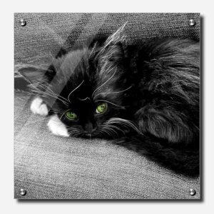 Fine Art Photography Acrylic Print Shadow