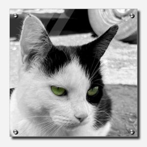 Fine Art Photography Acrylic Print Spade